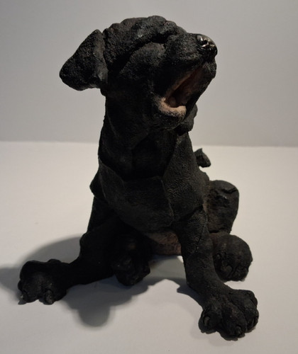Breed apart black labrador - -,