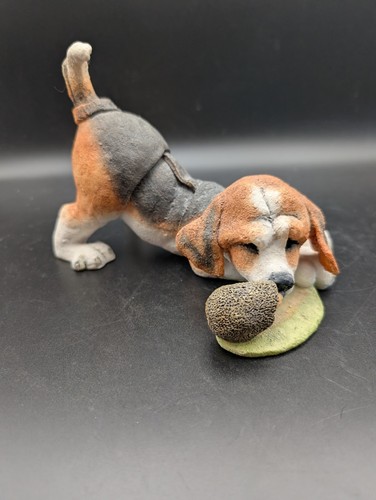 Country artists spike the dog - the,